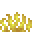 Geweihkorallenfächer